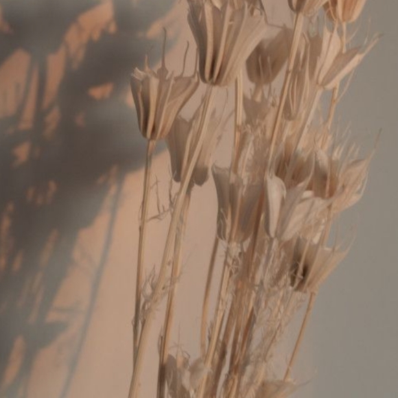 Meet your seller ✨ - Picture 2 of 5